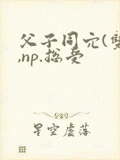 父子同穴(双性,np.总受