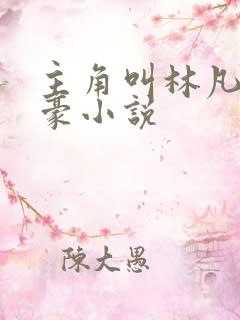 主角叫林凡的神豪小说