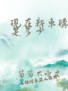 现在新车购置税是多少