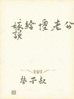 嫁给傻老公的小说 嫁给傻老公的小说