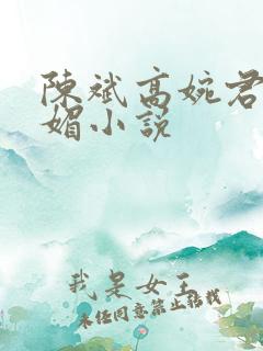 陈斌高婉君赵心媚小说