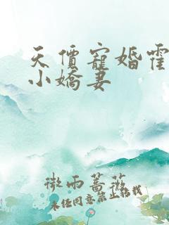 天价宠婚霍总的小娇妻 天价宠婚霍总的小娇妻