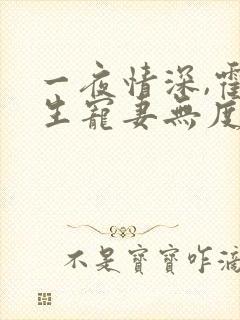 一夜情深,霍先生宠妻无度小说免费看