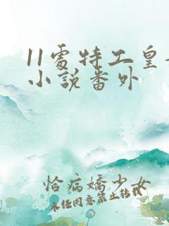 11处特工皇妃小说番外