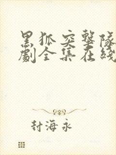黑狐突击队电视剧全集在线云播放