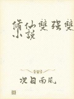 修仙双强双男主小说