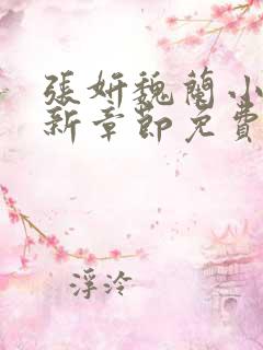 张妍魏兰小说最新章节免费阅读