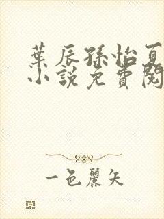 叶辰孙怡夏若雪小说免费阅读全文无窗口