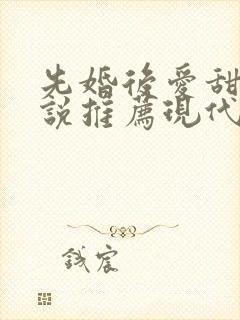 先婚后爱甜文小说推荐现代言情