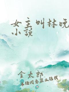 女主叫林晚意的小说