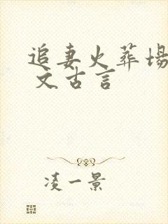 追妻火葬场po 文古言