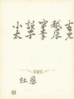 小说穿越古代当太子李辰免费阅读