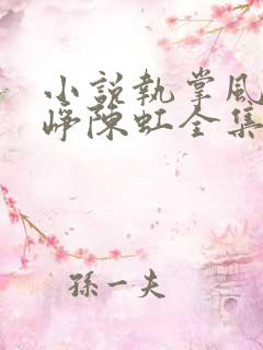小说执掌风云萧峥陈虹全集下载