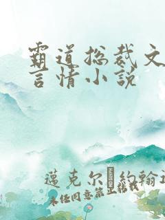 霸道总裁文现代言情小说