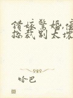 错嫁惊婚,亿万总裁别太坏