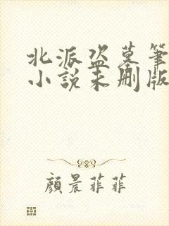 北派盗墓笔记 小说未删版全文