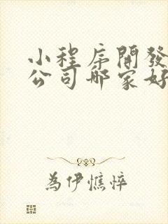 小程序开发定制公司哪家好
