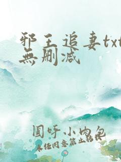 邪王追妻txt无删减