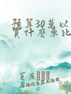 预算30万以内买什么车比较好
