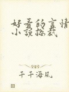 好看的言情甜宠小说总裁