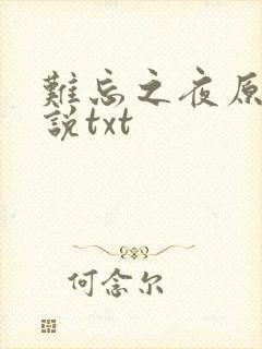 难忘之夜原著小说txt