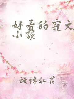 好看的宠文甜文小说