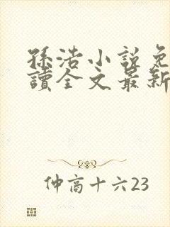 孙浩小说免费阅读全文最新章节