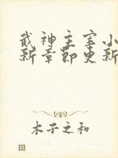 武神主宰小说最新章节更新
