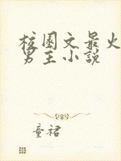 校园文最火的双男主小说