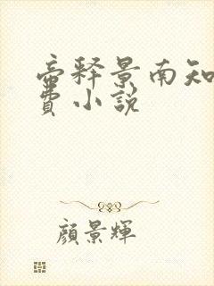 帝释景南知意免费小说