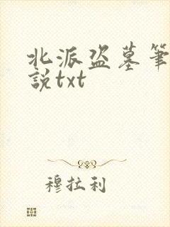 北派盗墓笔记小说txt