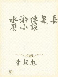 水浒传是长篇什么小说