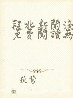 段北斯闻浅全文免费阅读无弹窗笔趣阁