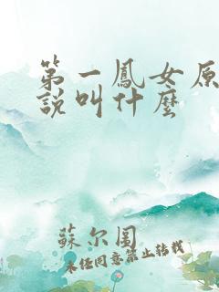 第一凤女原著小说叫什么