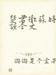楚君彻苏时锦小说全文