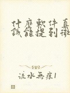 什么软件真的赚钱能提到微信