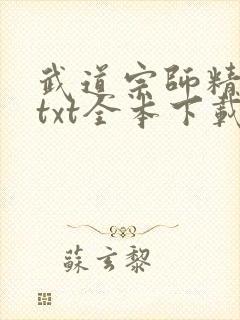 武道宗师精校版txt全本下载