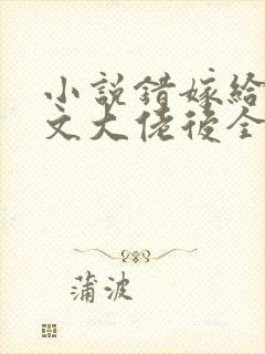 小说错嫁给年代文大佬后全本阅读