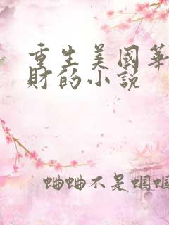 重生美国华裔发财的小说