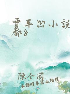 贾平凹小说《废都》