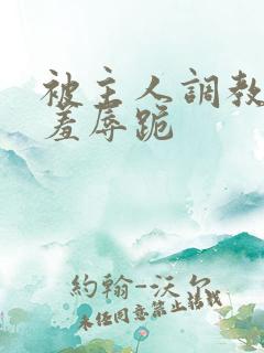 被主人调教粗口羞辱跪