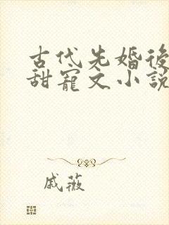 古代先婚后爱的甜宠文小说 古代先婚后爱的甜宠文小说