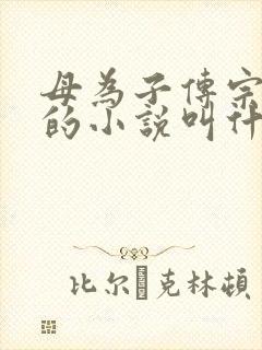 母为子传宗接代的小说叫什么名字