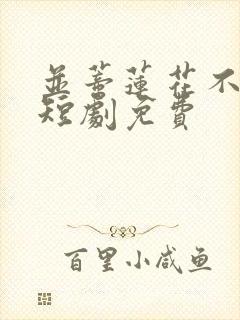 并蒂莲花不相见短剧免费