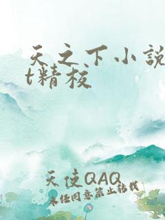 天之下小说txt精校