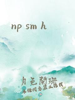 np sm h