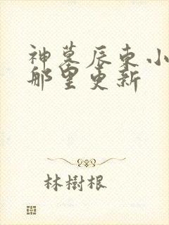 神墓辰东小说在那里更新