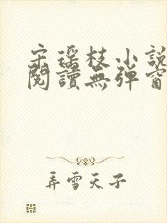 宋瑶枝小说免费阅读无弹窗最新章节