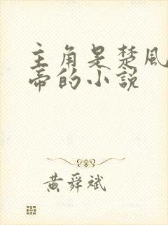 主角是楚风和女帝的小说