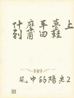 什么平台上能买到莆田鞋